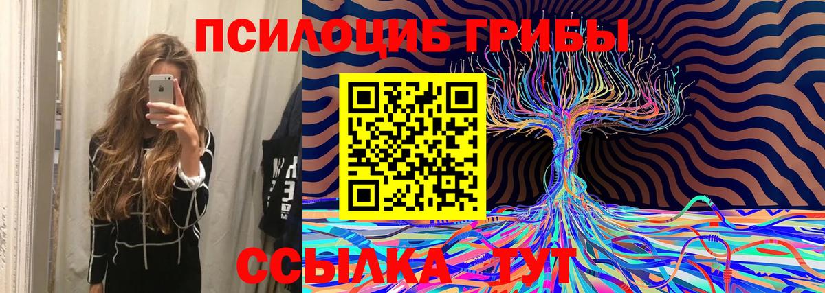 Ессентуки  Галлюциногенные грибы Psilocybine cubensis  Вход с VPN 
