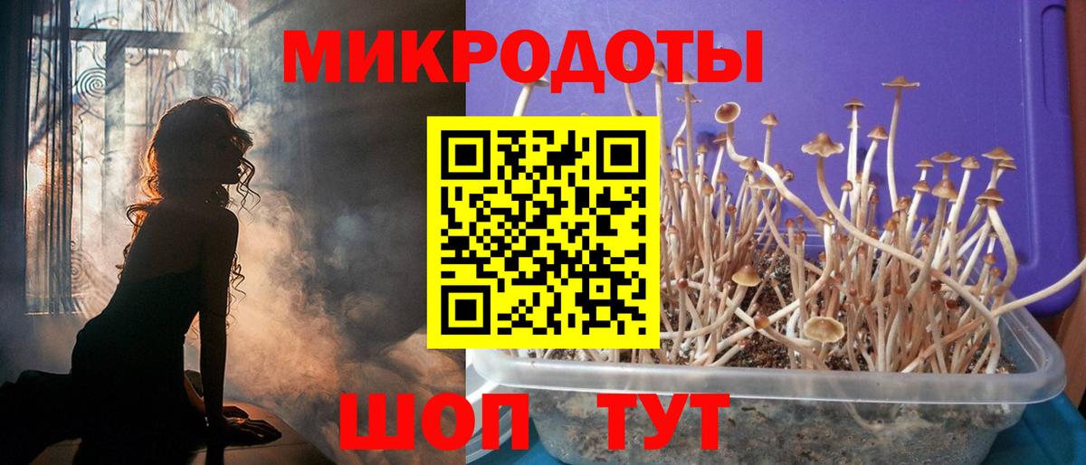 Галлюциногенные грибы мухоморы Ессентуки